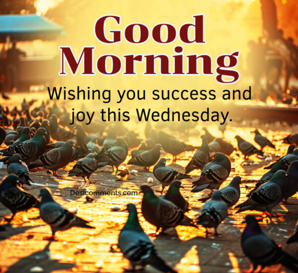 Good Morning Wednesday Wishing You Success And Joy