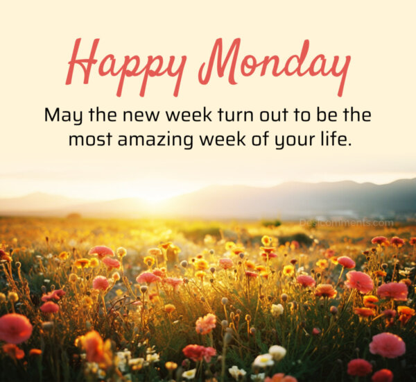 Happy Monday Most Amazing Week Of Your Life