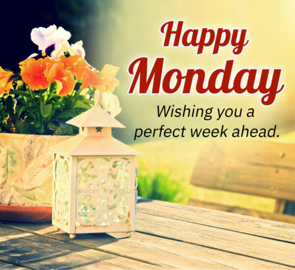 Happy Monday Wishing You A Perfect Week Ahead
