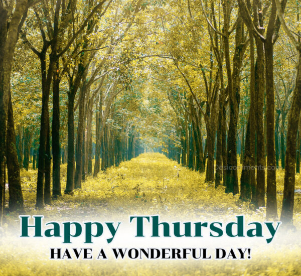 Happy Thursday Have A Wonderful Day