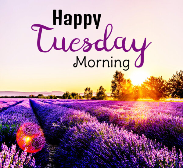 Happy Tuesday Morning Picture