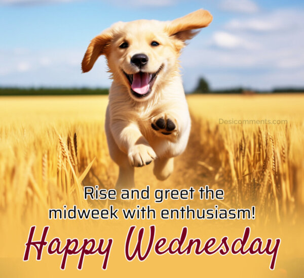 Happy Wednesday Rise And Greet The Midweek