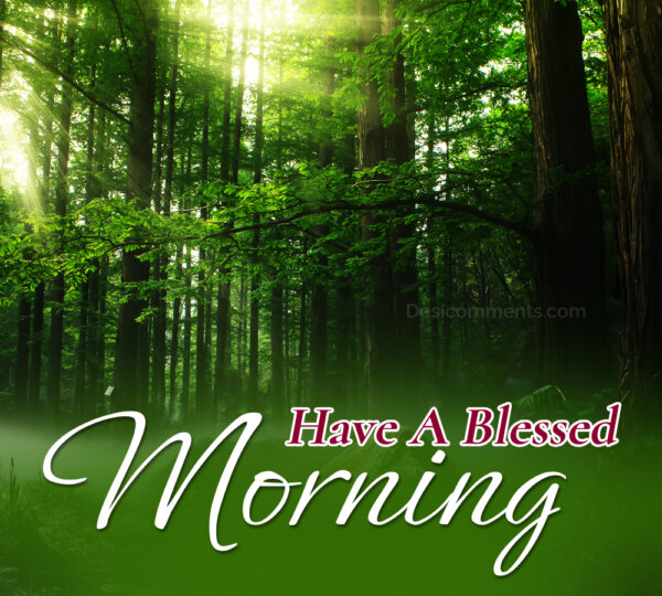 Good Morning Wishes; Have A Blessed Morning Status Image