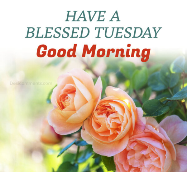 HAVE A BLESSED TUESDAY Good Morning