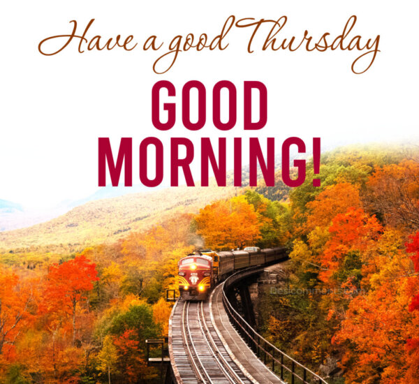 Have a good Thursday GOOD MORNING