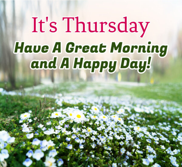 Have A Great Morning It's Thursday And Happy Day