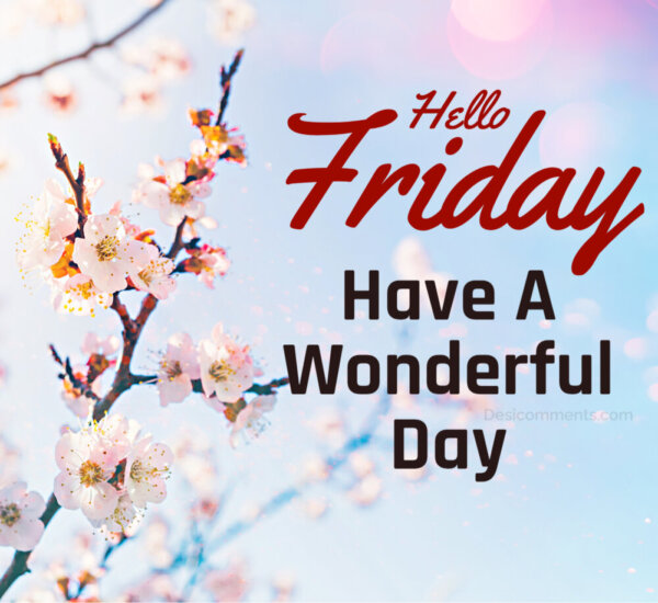 Hello Friday Have A Wonderful Day