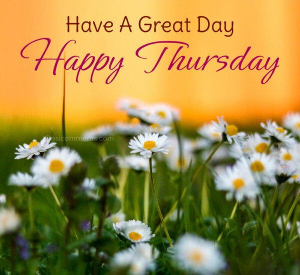 Have A Great Day Happy Thursday