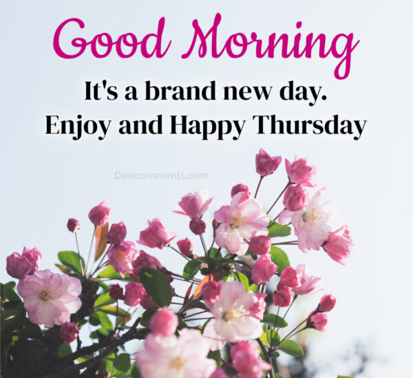 Good Morning It’s a brand new day