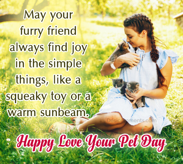 May Your Furry Friend Always Find Joy In Simple Things