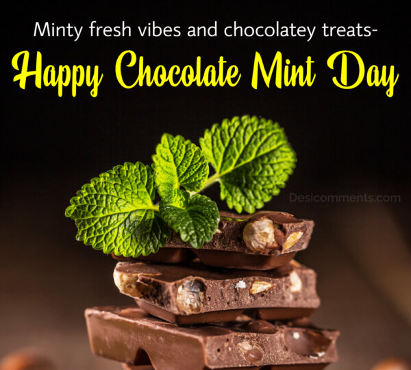 Minty Fresh Vibes And Chocolate Mint Day