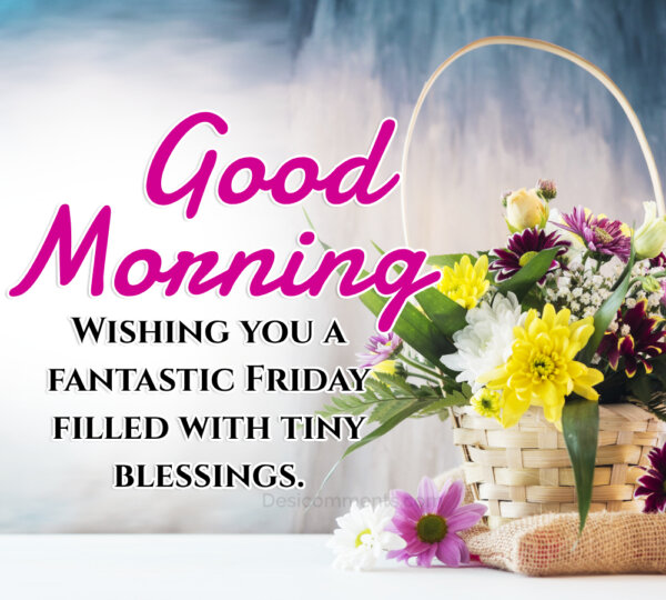 Wishing You A Fantastic Friday Good Morning