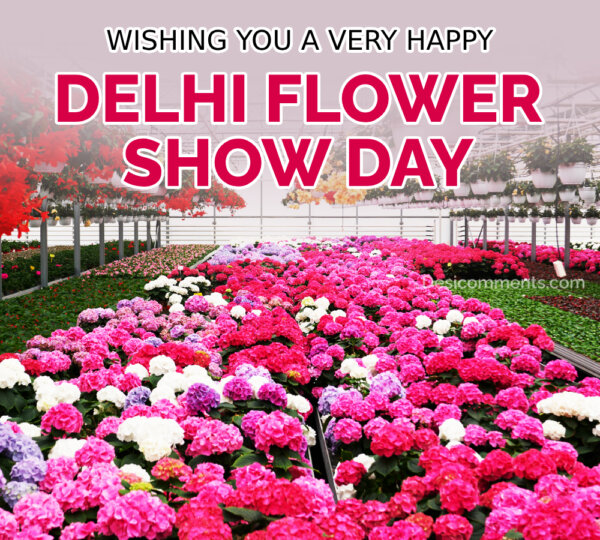 Wishing You A Very Happy Delhi Flower Show Day Picture