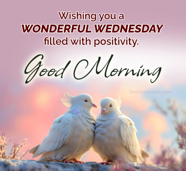 Wishing You A Wonderful Wednesday Good Morning