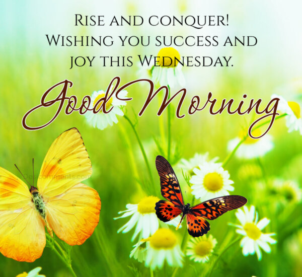 Wishing You Success And Joy This Wednesday Good Morning