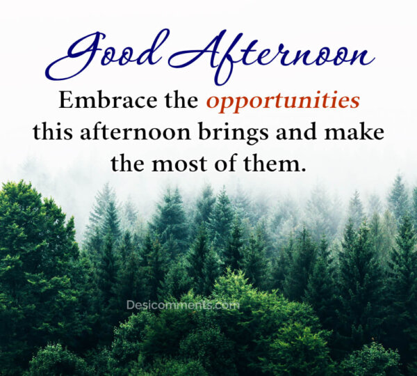 Embrace The Opportunities This Afternoon Brings