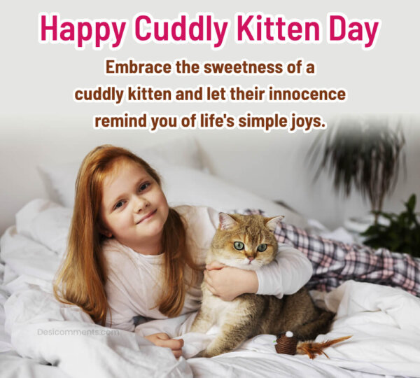 Embrace The Sweetness Of A Cuddly Kitten
