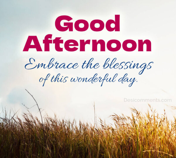 Good Afternoon Embrace The Blessings Of This Wonderful Day