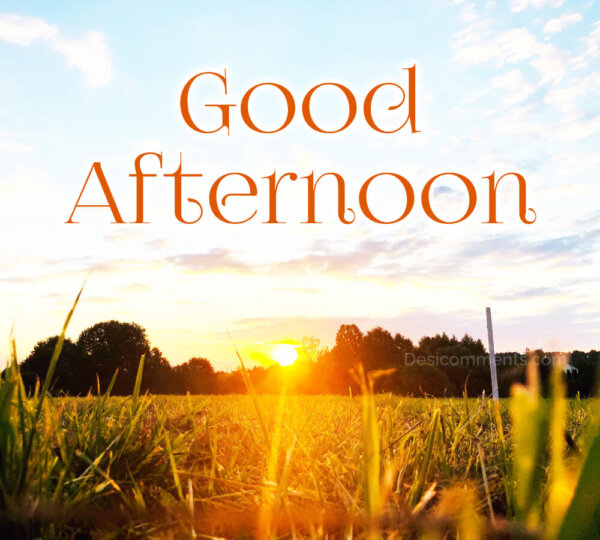 Good Afternoon sun Pic