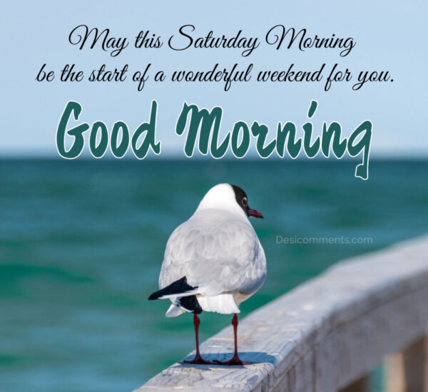 Good Morning May This Saturday Be The Start Of Wonderful Weekend For You