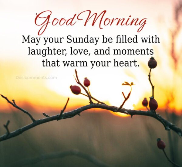 Good Morning May Your Sunday Be Filled With Love And Laughter