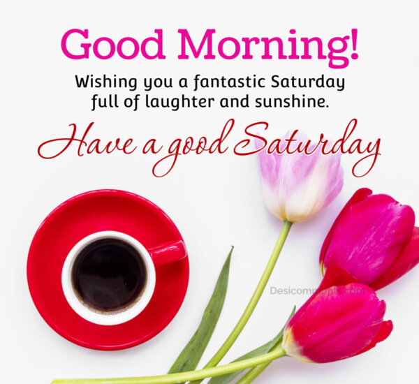 Good Morning Wishing You A Fantastic Saturday Full Of Laughter