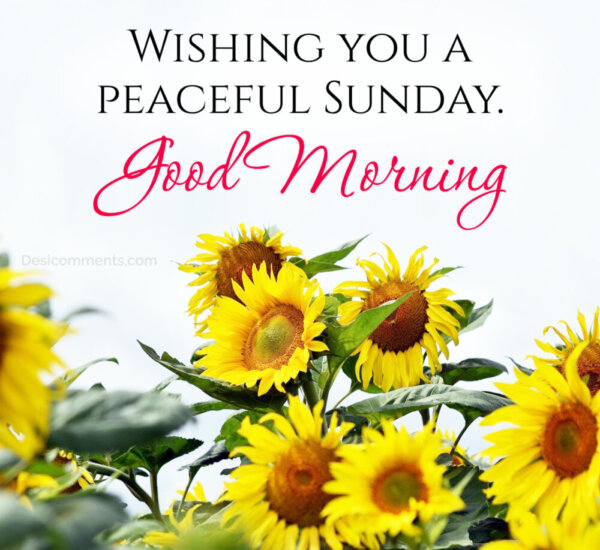 WISHING YOU A PEACEFUL SUNDAY
