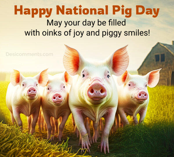 Happy National Pig Day Be Filled With Oinks Of Joy And Piggy Smiles