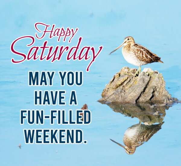 Happy Saturday May You Have A Fun Filled Weekend