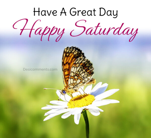 Have A Great Day Happy Saturday