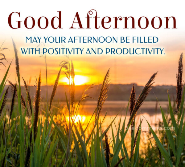 May Your Afternoon Be Filled With Positivity
