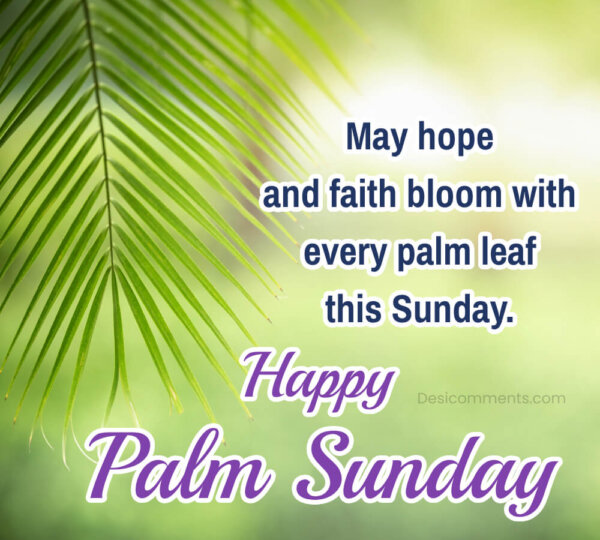 May Hope And Faith Bloom With Every Palm Leaf This Sunday.