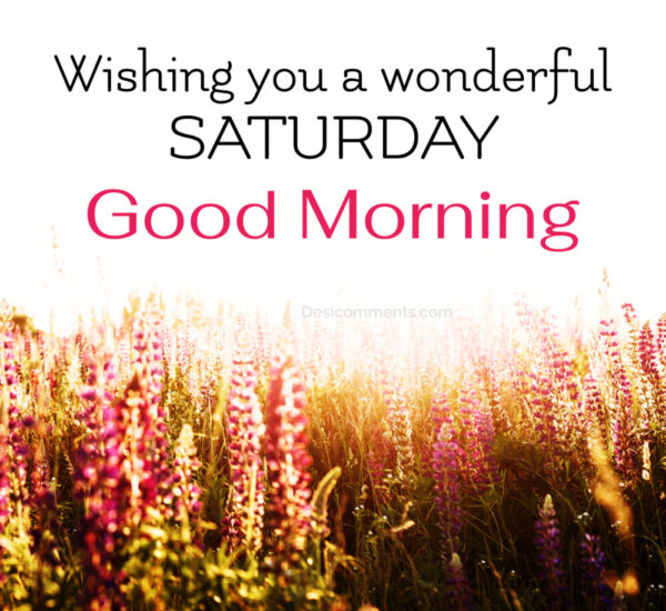 Wishing You A Wonderful Saturday Good Morning