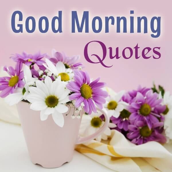 Good Morning Quotes