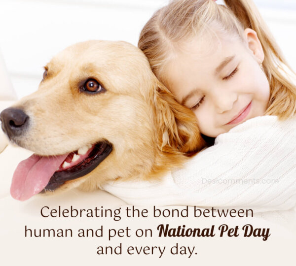 Celebrating The Bond Between Human And Pet