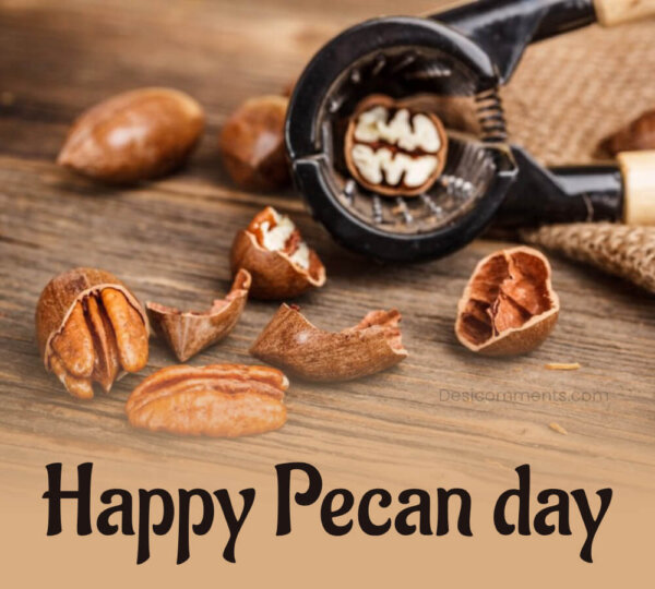 Happy Pecan Day Photo