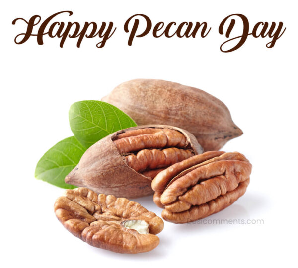 Pecan Day Picture
