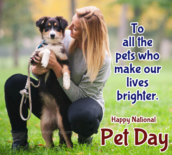 To All The Pets Who Make Our Lives Brighter