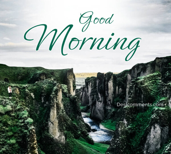 Good Morning Lovely Pic