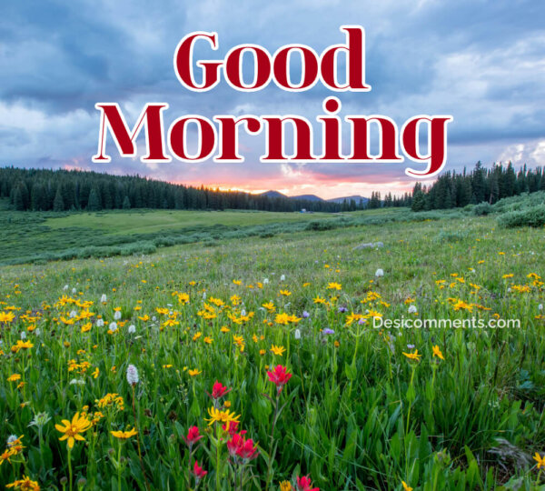 GOOD MORNING Pic
