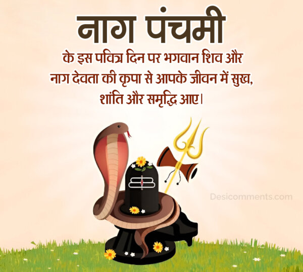 Nag Panchami Pic