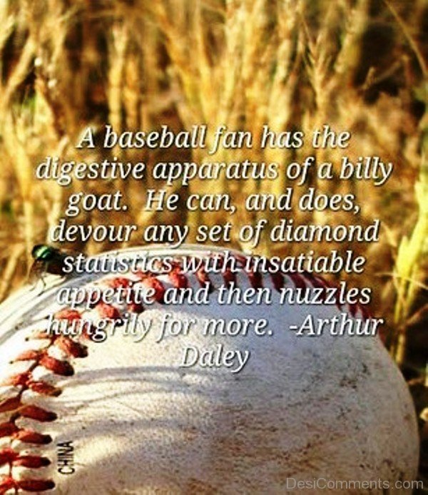 A Baseball Fan