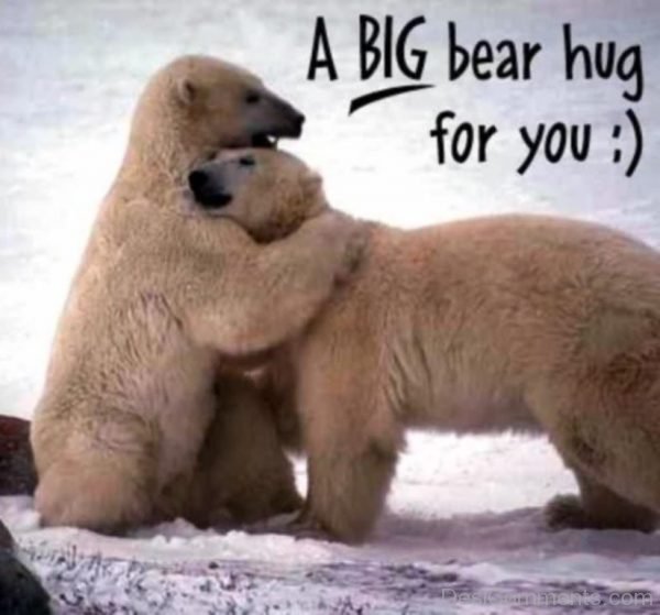 A Big Bear Hug For You-DC011