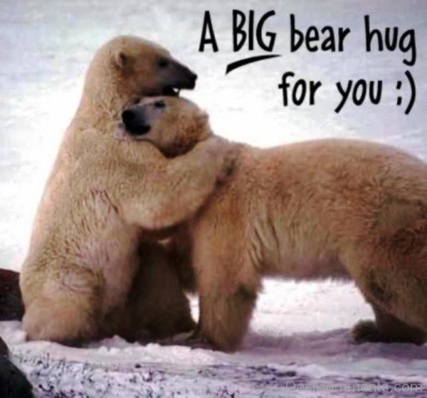 A Big Bear Hug For You