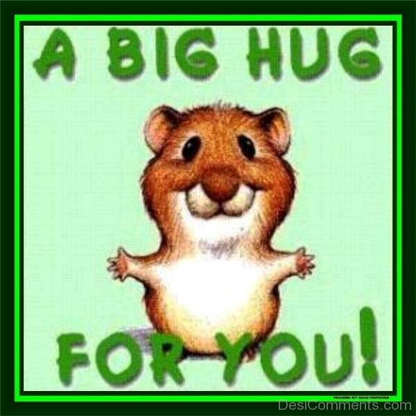 A Big Hug For You