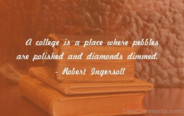 A Collage Is  A Place Where Pebbles Are Polished And Diamonds Dimmed