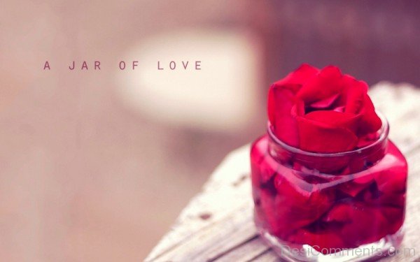 A Jar Of Love- DC0101