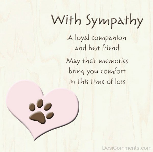 A Loyal Companion