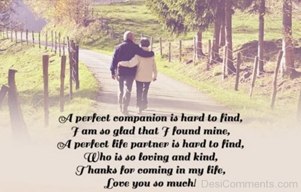 A Perfect Life Partner Is Hard To Find