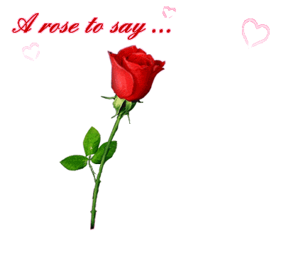 A Rose Is Say